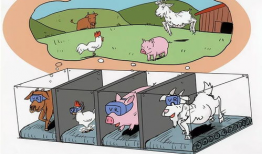 漫画网课,轻松学习，快乐成长